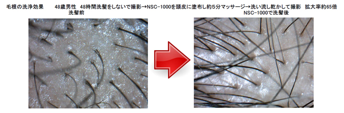 アルーゼ オンラインストア　ナノ＆バイオ技術が生んだ次世代洗浄原料 ナノソイ・コロイド 実験 NSC-Home ホーム